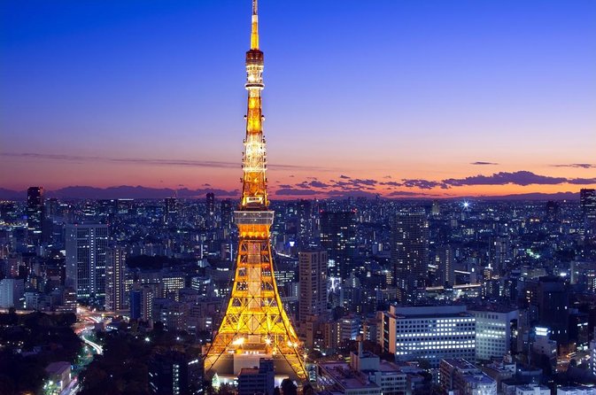 Mt. Fuji & Tokyo Helicopter Tour【90 mins】 : Close to Mt.Fuji! - Key points before you book
