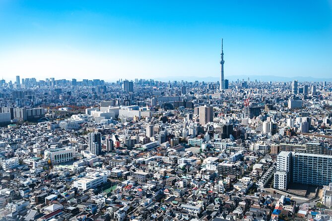 Mt. Fuji & Tokyo Luxury Helicopter Tour【90Mins-5pax】Breathtaking! - Why this 90-minute route is different from a Tokyo helicopter loop