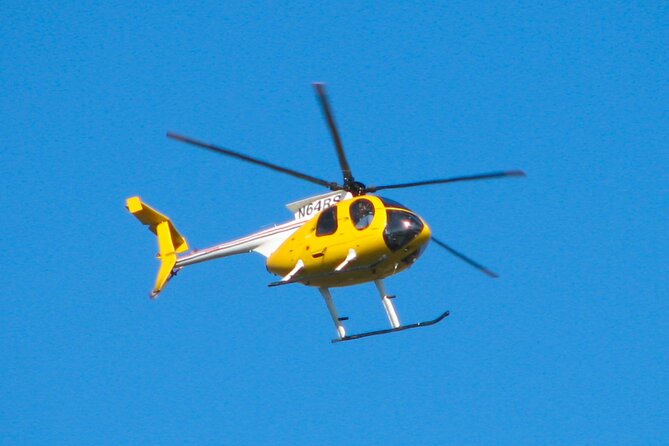 NF USA - Luxury Helicopter Tour with Maid of the Mist & Lunch - A Stop at the Nikola Tesla Monument