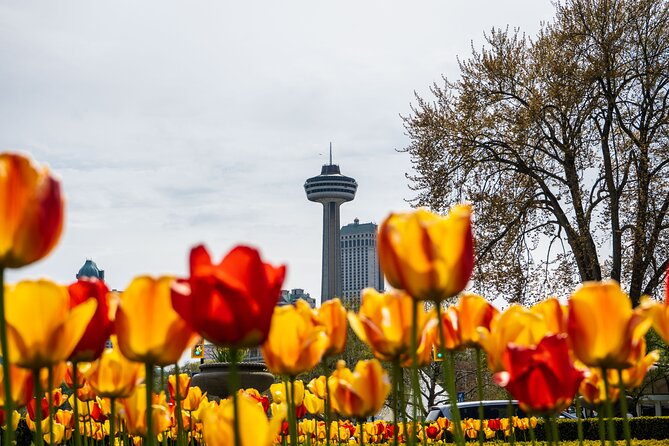 Niagara Falls Canada: Helicopter + Boat + Lunch & more US Pick-up - Is $299 a fair price?