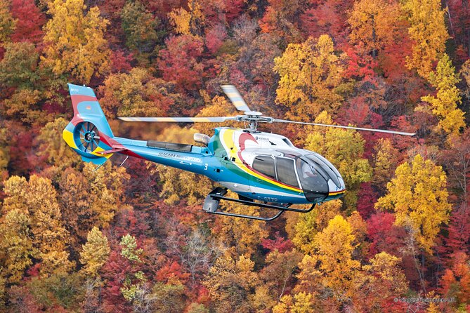 Niagara Falls Canada Helicopter Tour - What makes the flight memorable