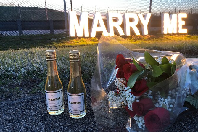NYC Helicopter Proposal Tour with Photos and Champagne - What the private Airbus flight feels like