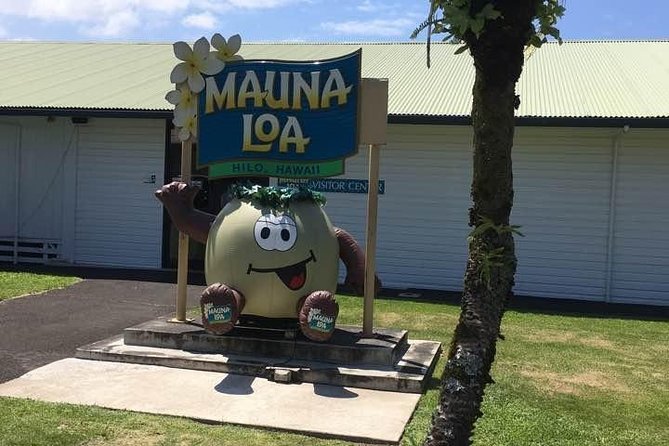 Oahu to Big Island : Big Island Volcano Helicopter Tour & Hilo 1 Day Tour - King Kamehameha Statue: a brief Hilo introduction