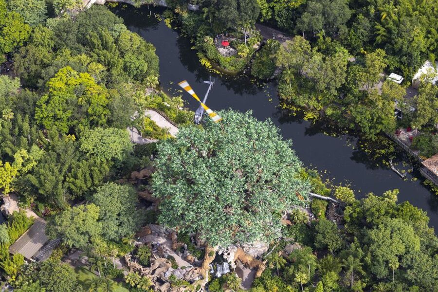 Orlando: Narrated Day Helicopter Flight Over Theme Parks - What the helicopter setup means for your group
