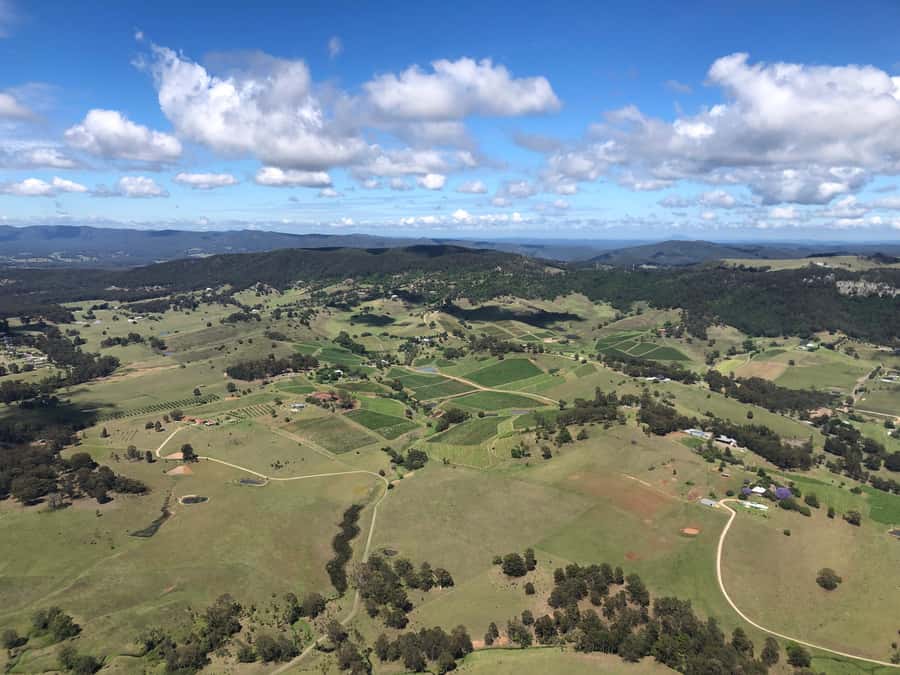 Pokolbin: 10-minute Helicopter Scenic Flight Hunter Valley - The first view: vineyards spread across Pokolbin
