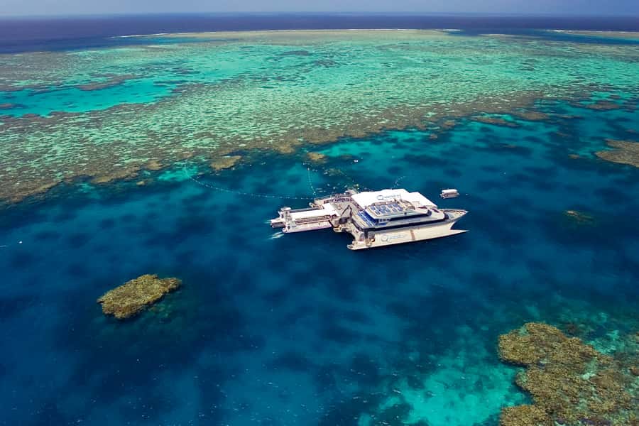 Port Douglas: Outer Barrier Reef Cruise & 10 Min Helicopter - Key points at a glance