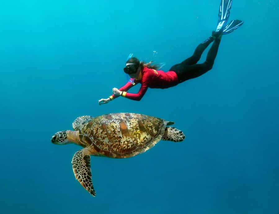 Port Douglas: Outer Barrier Reef Cruise & 10 Min Helicopter - Snorkeling among coral gardens