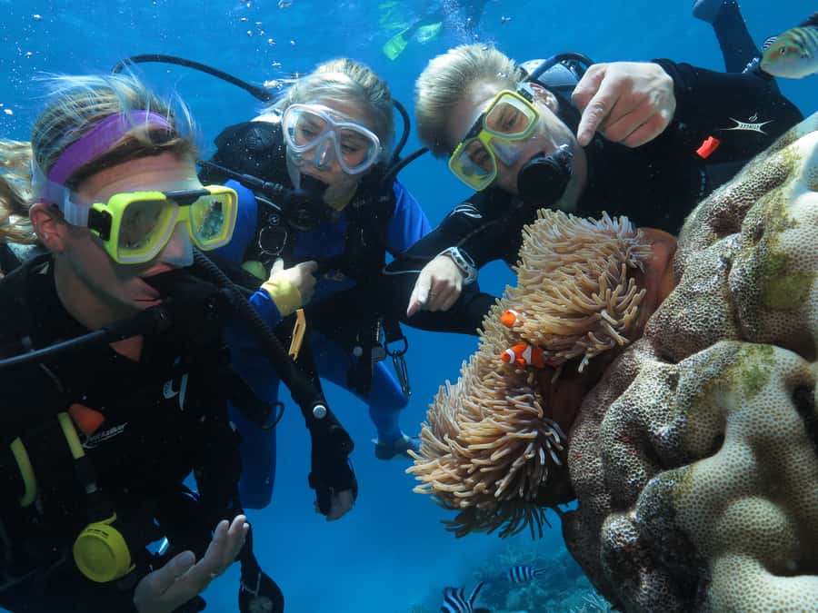 Port Douglas: Outer Barrier Reef Cruise & 10 Min Helicopter - Who will enjoy this reef cruise most