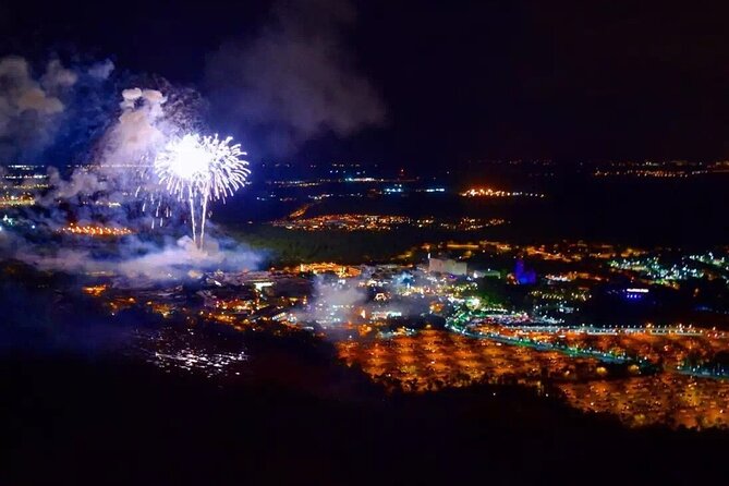 Private Helicopter 77 Miles Fireworks Tour over all Theme Parks - Who will enjoy this flight most