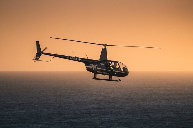 Private Helicopter Tour of Hollywood Sign, Beaches and More - Seeing Los Angeles from the Long Beach airfield