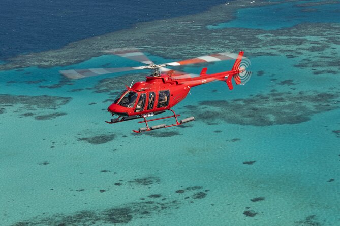 Private Helicopter Tour: Reef Island Snorkeling and Gourmet Picnic Lunch - Who will enjoy this experience most