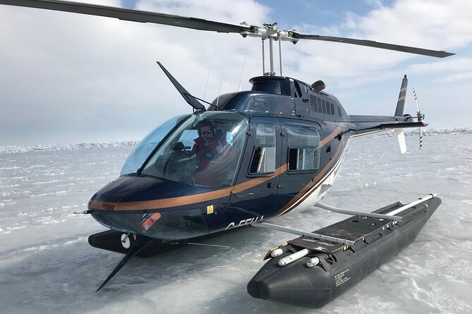 Private Tour: Niagara Falls Helicopter Flight - Key points before you book