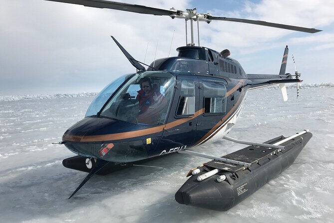 Private Tour: Niagara Falls Helicopter Flight - The 20-minute flight over Niagara Falls