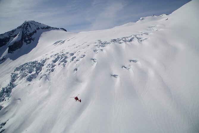 Private Whistler Helicopter Tour + Mountain Landing - What the private format adds