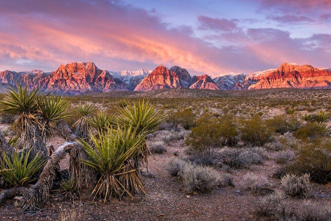 Red Rock Canyon Helicopter Air-Only Tour in Las Vegas - Key points to know before booking