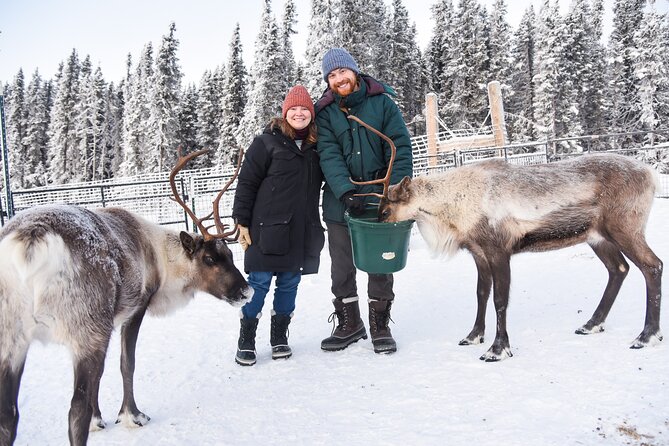 Reindeer and Heli Flightseeing Day Trip with Lunch - Key points at a glance