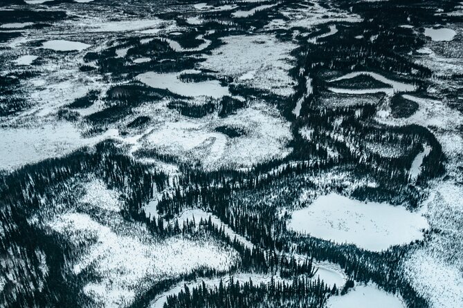 Reindeer and Heli Flightseeing Day Trip with Lunch - Who will enjoy this day most?
