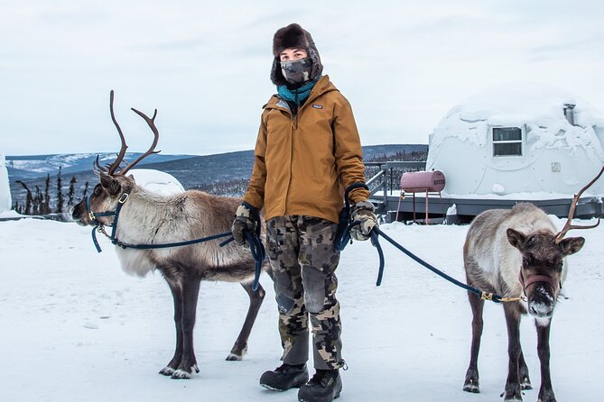 Reindeer and Heli Flightseeing Day Trip with Lunch - Weather, cancellation, and planning details