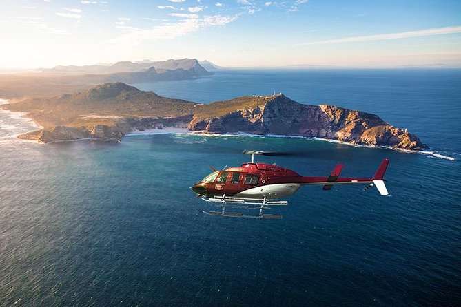 Scenic Cape Point Helicopter Tour from Cape Town - Seeing Cape Town in one long sweep