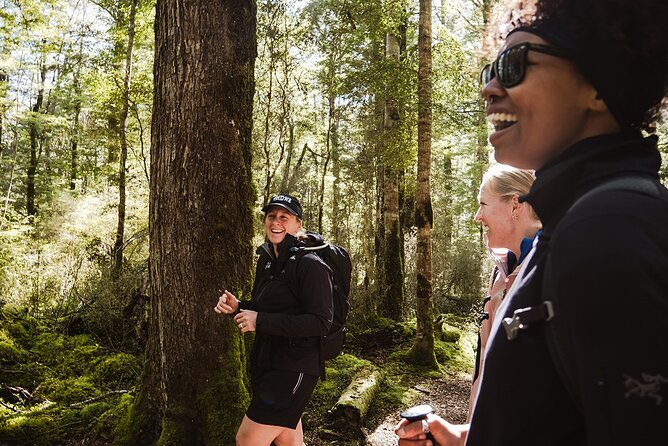 Scenic Helicopter & Kepler Guided Hike from Te Anau with Lunch - Why this Kepler Track shortcut works so well