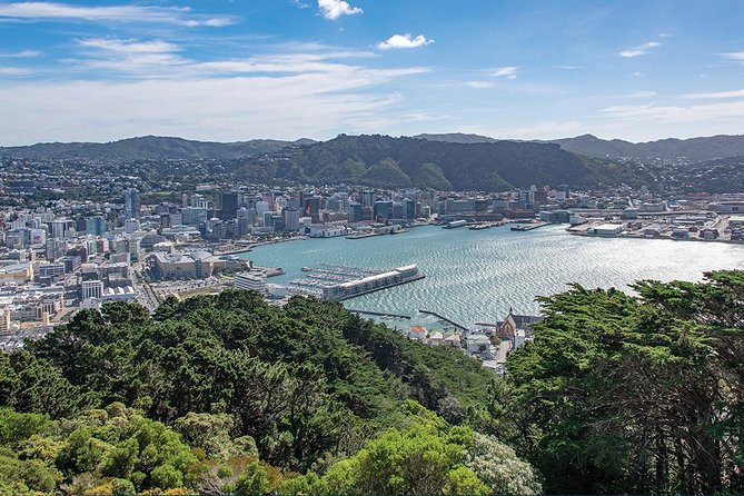 Scenic Wellington Helicopter Flight - What the pilot adds to the ride