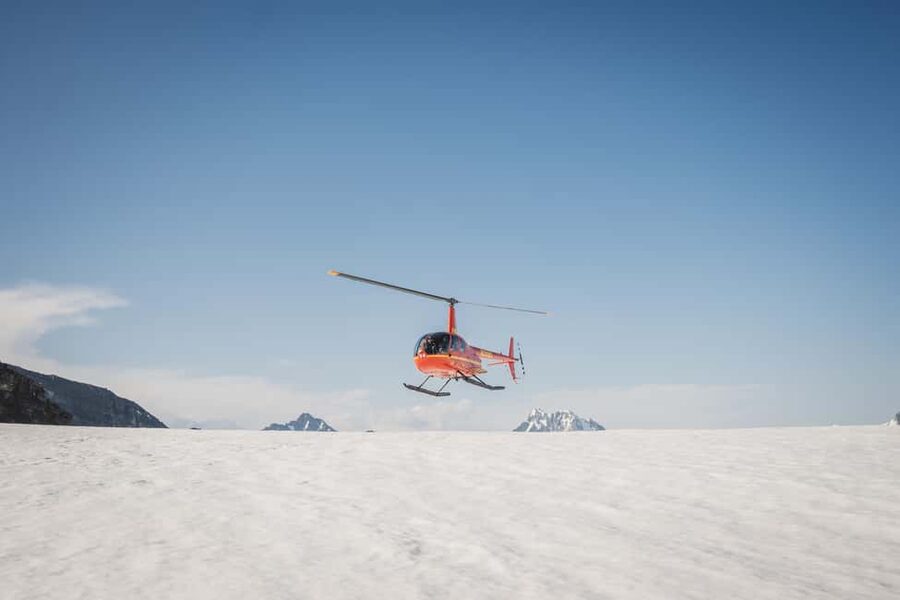 Seward, Alaska: Helicopter Glacier Dog Sledding Adventure - The kennel visit explains the work behind the cute faces