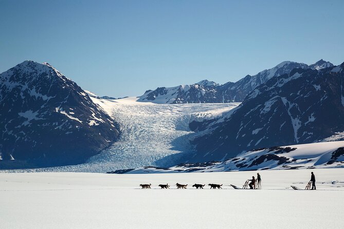 Seward: Helicopter Glacier Dogsled Tour with 2 Landings - Practical details that can make or break the day