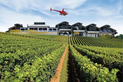 Sirromet Winery + CBD & Mt Coot-tha Private Helicopter Experience