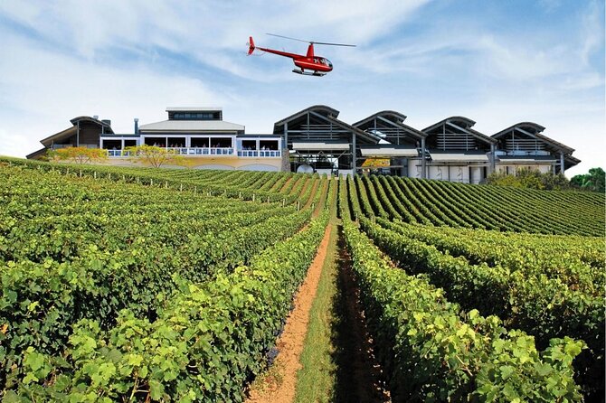 Sirromet Winery + CBD & Mt Coot-tha Private Helicopter Experience - Starting at Archerfield Airport