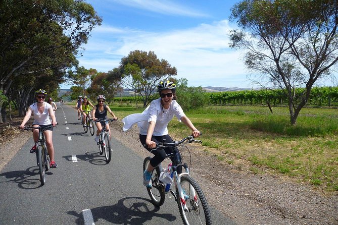Southern Barossa: 10-Minute Helicopter Flight - Price and value at $89.66