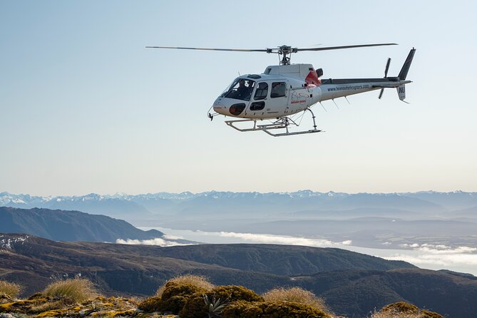 Taste of Fiordland // Helicopter Scenic Flight from Te Anau - Is $245.13 a fair price?