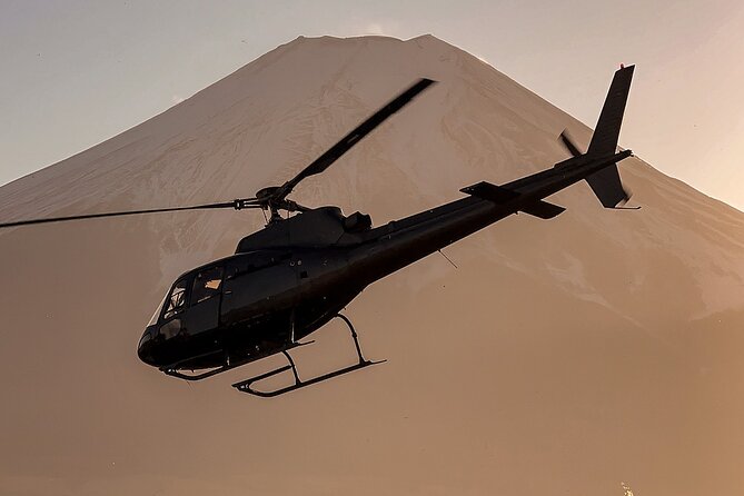 【TOKYO→FUJI】 Helicopter Oneway Transfer 35mins - Tokyo Heliport in Shinkiba