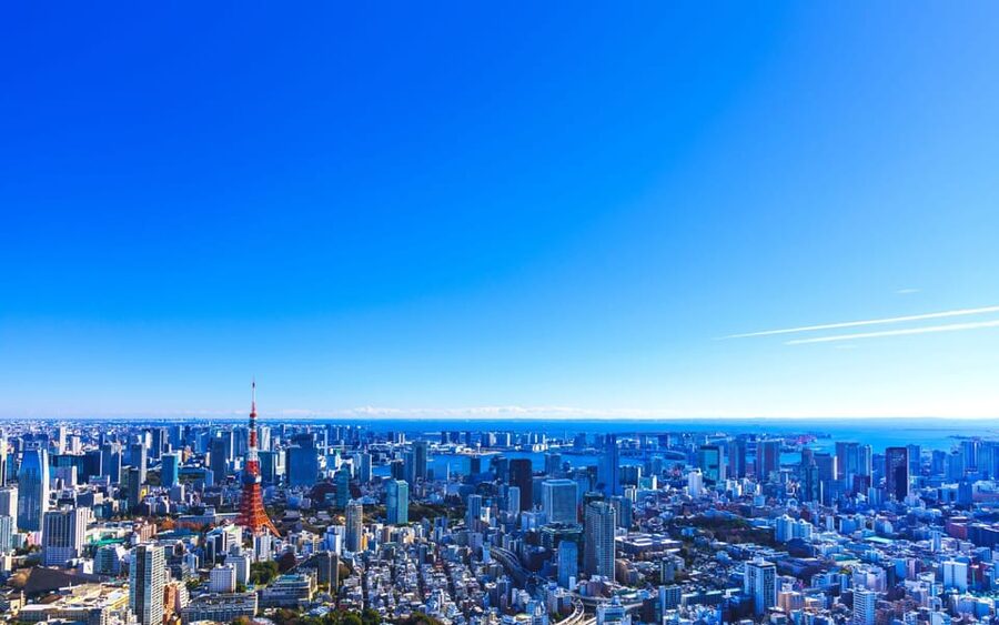 Tokyo: Guided Helicopter Ride - Choosing between the 20-minute and 30-minute flights