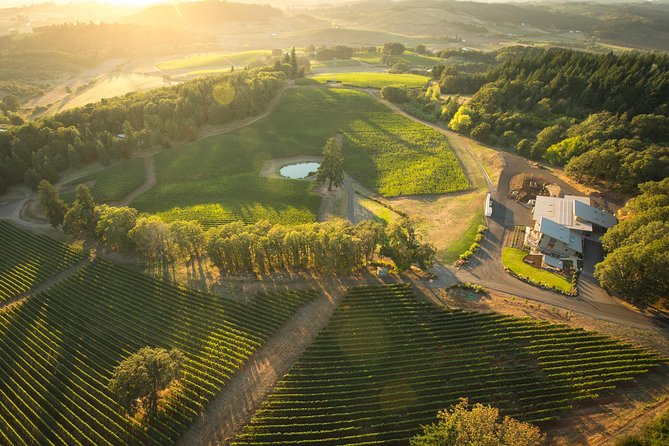 Tour DeVine by Heli - Helicopter Wine Tour - Four flights over Oregon wine country