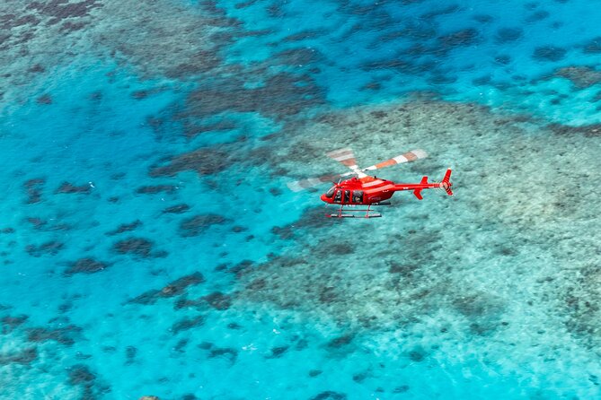 Ultimate Great Barrier Reef and Rainforest 45-minute Helicopter Tour - One flight from Cairns, two very different worlds