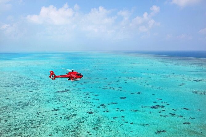 Ultimate Great Barrier Reef and Rainforest 45-minute Helicopter Tour - What the six-person limit means