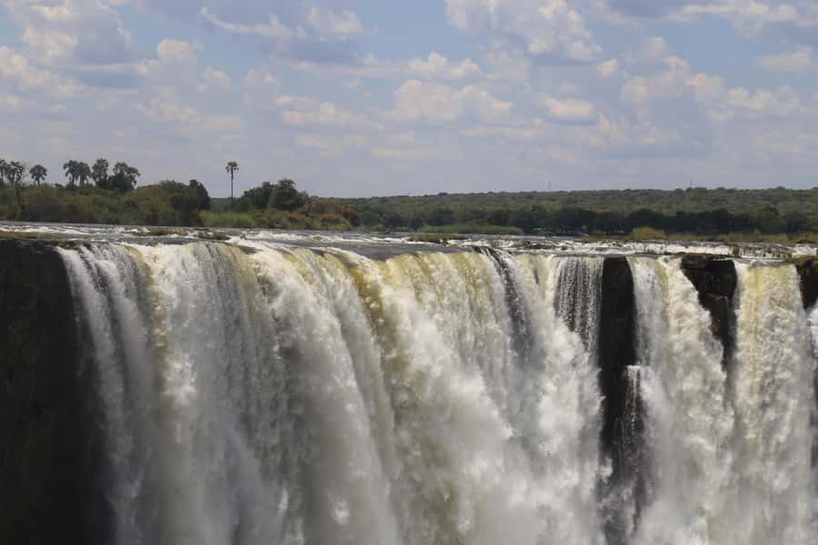 Victoria Falls Private Tour with Lunch & Helicopter Flight - The market and the Big Tree