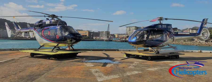 Wellington Helicopter Scenic Flight - Harbour views and the chance of Cook Strait