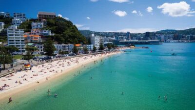 Wellington Helicopters Scenic Harbour Flight