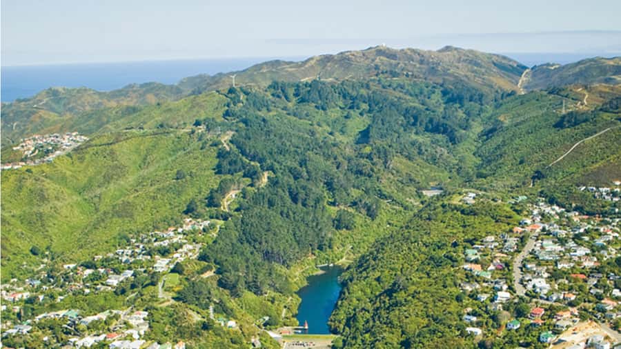 Wellington Helicopters Scenic Harbour Flight - The return over Te Papa, the Beehive, and the Cake Tin