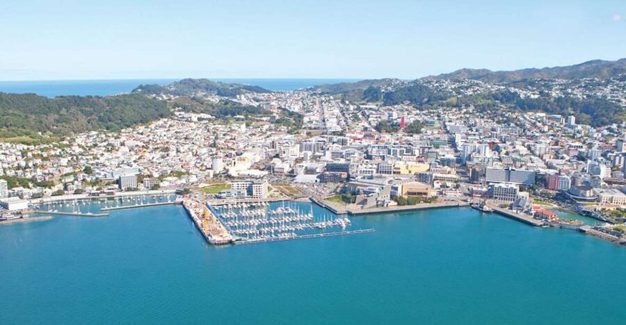 Wellington: Scenic South Coast Discovery Helicopter Flight - Key points at a glance