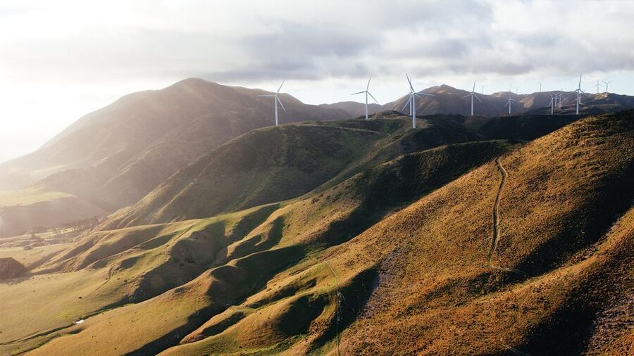 Wellington: Scenic South Coast Discovery Helicopter Flight - Karori Rock Lighthouse and Cook Strait
