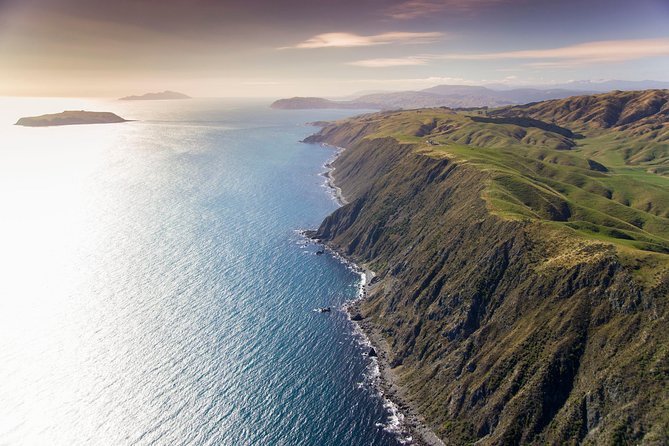 Wellington South Coast Discovery Helicopter Flight - Why this short flight gives you a bigger view of Wellington