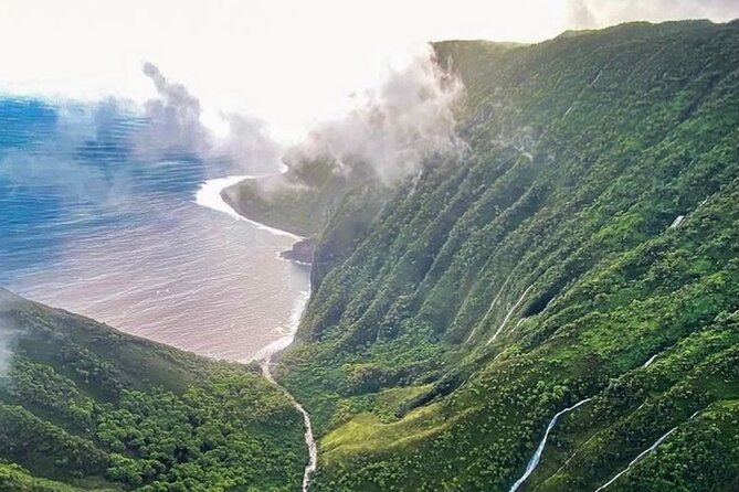 West Maui and Molokai 60-Minute Helicopter Tour - What the $443.34 price really buys you