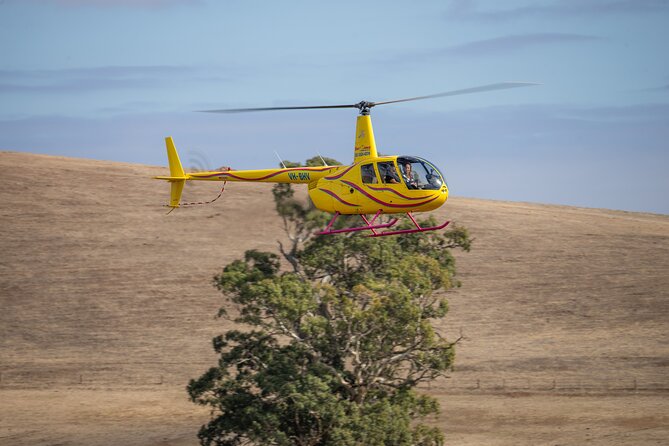 Western Ridge & Valley Floor: 20-Minute Helicopter Flight - What the price really buys you