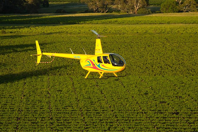 Western Ridge & Valley Floor: 20-Minute Helicopter Flight - Seppeltsfield from the air