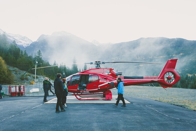 Whistler Helicopter Tour - Who will enjoy this most