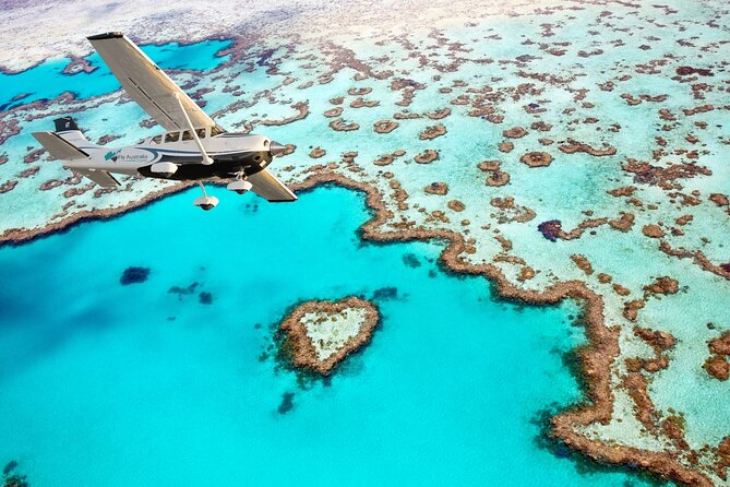 Whitsunday Whirl - 20 Minute Helicopter Tour - Weather, comfort, and what to bring